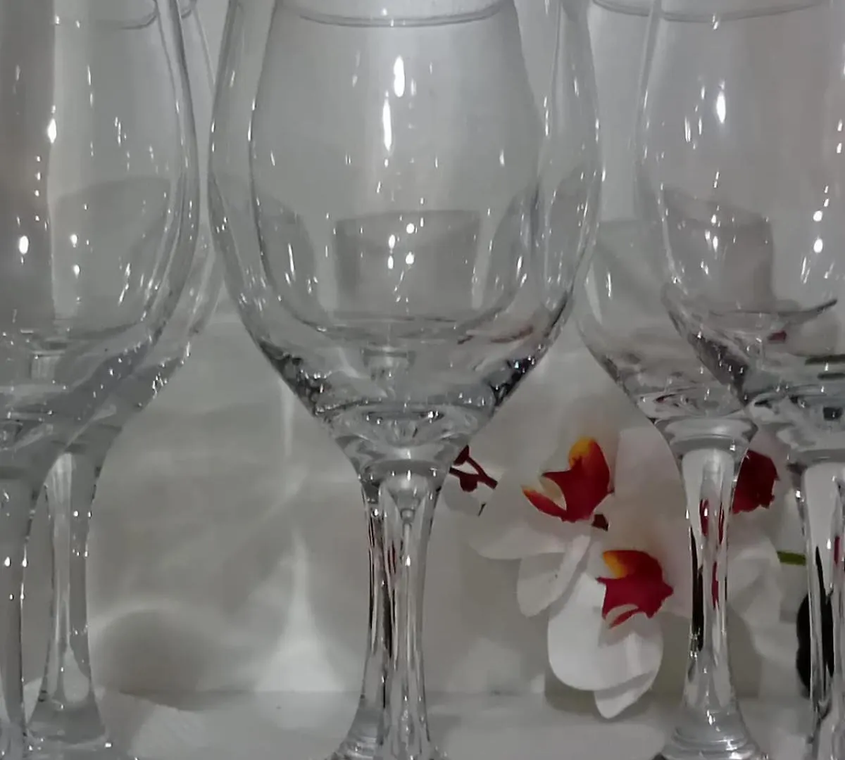 Vlore White Orchid Apartment