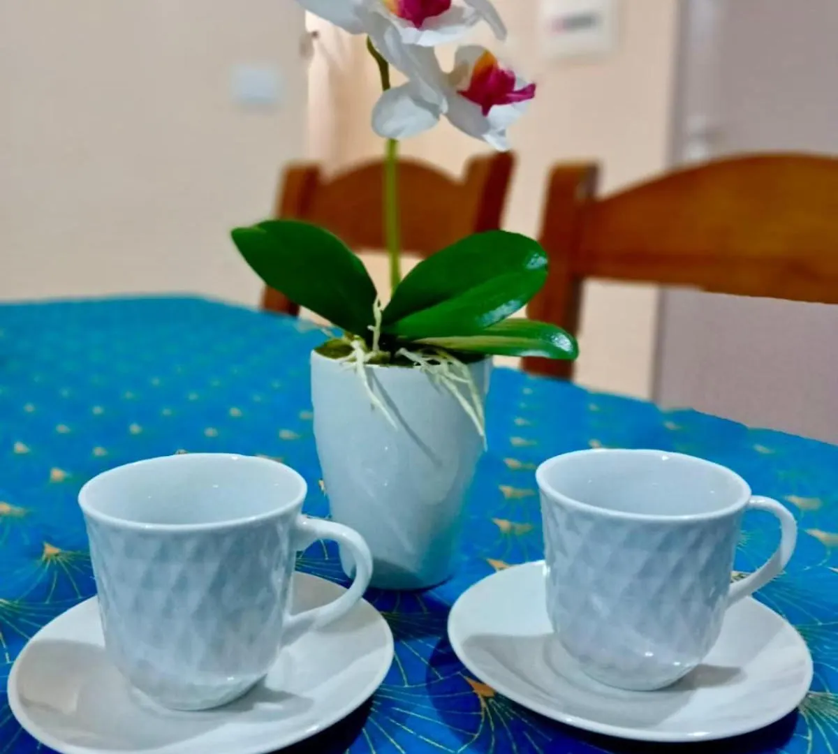 Vlore White Orchid Apartment 0*,