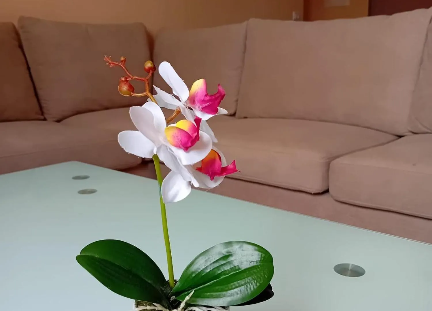 Vlore White Orchid Apartment